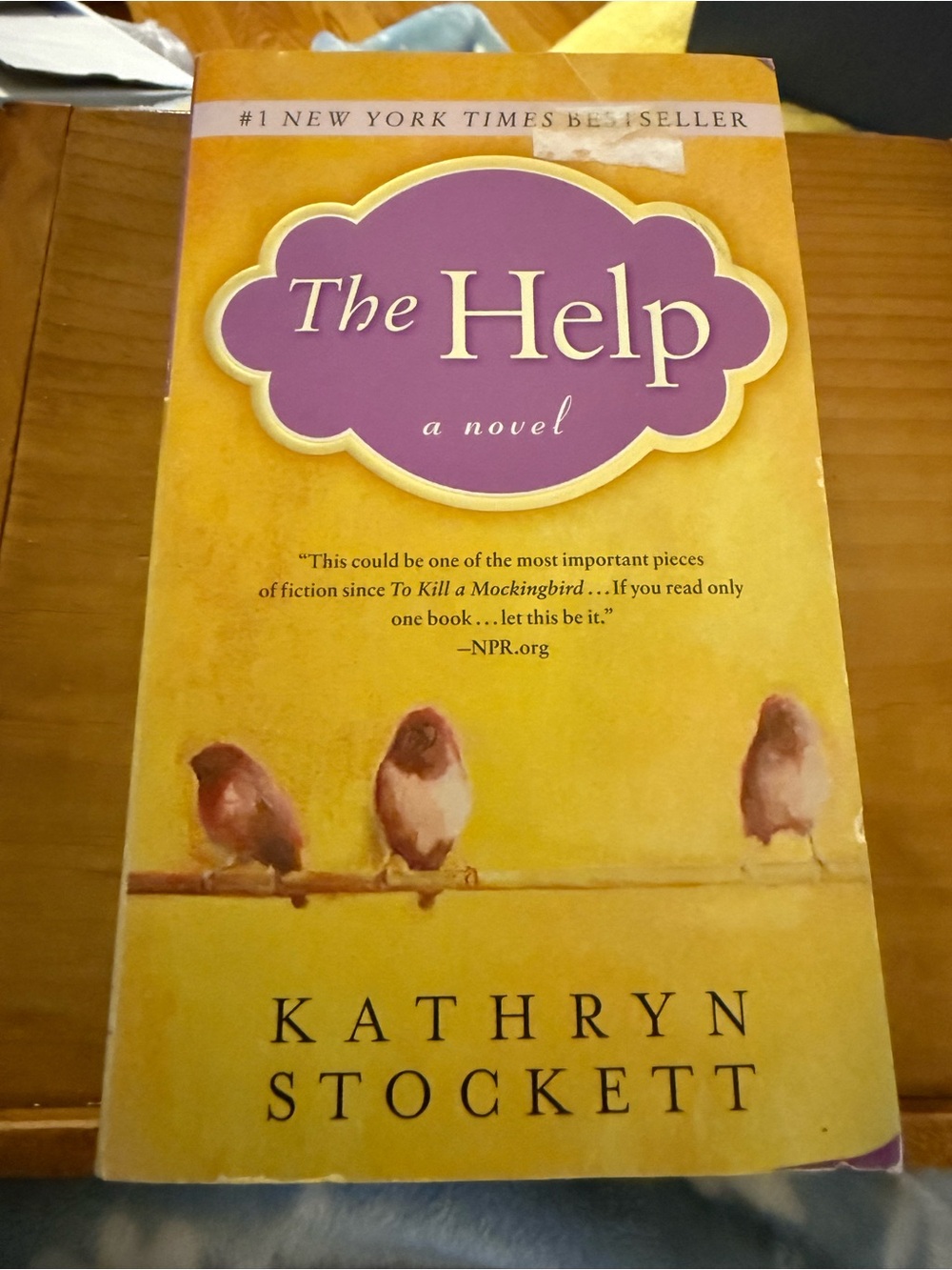 The Help A Novel by Kathryn Stockett #1 New York Times Bestseller Book